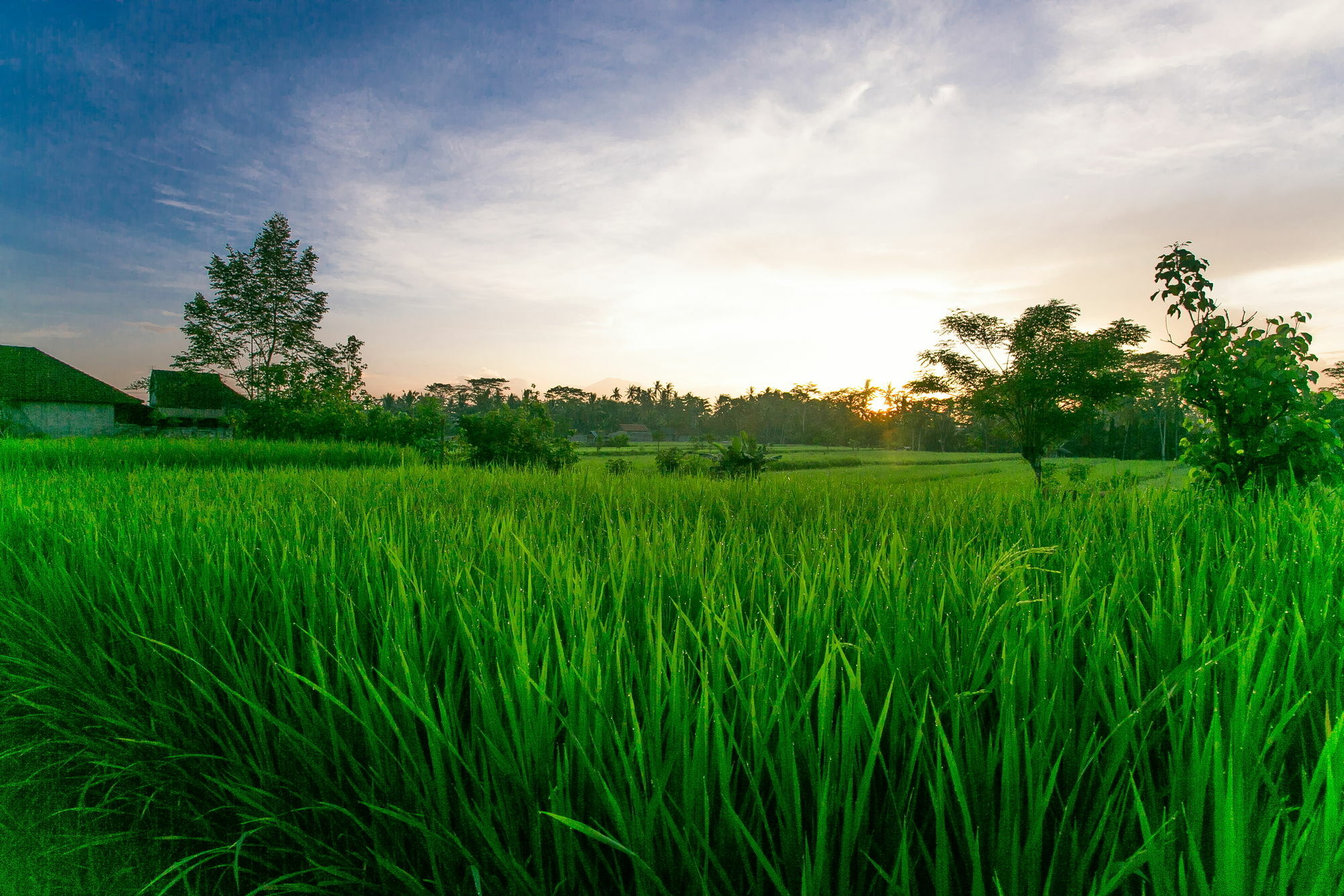 Pesantian Villa And Warung อูบุด ภายนอก รูปภาพ